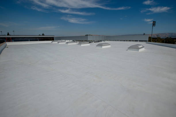 Best Roof Coating and Sealing  in Darmstadt, IN